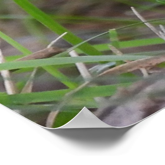 Schattige Chipmunk in bloemen Poster (Hoek)