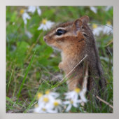 Schattige Chipmunk in bloemen Poster (Voorkant)