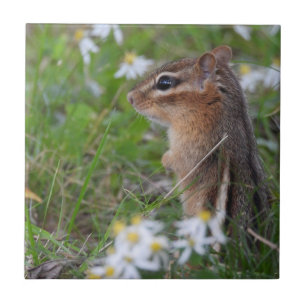 Schattige Chipmunk in bloemen Tegeltje