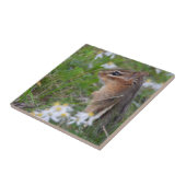 Schattige Chipmunk in bloemen Tegeltje (Zijkant)