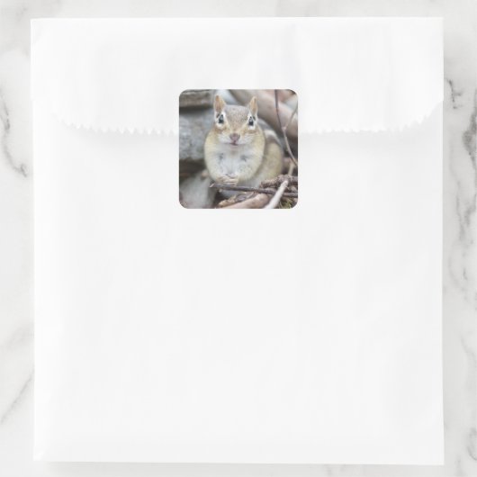 Schattige chipmunk lachend vierkante sticker (Tas)