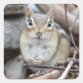Schattige chipmunk lachend vierkante sticker (Voorkant)