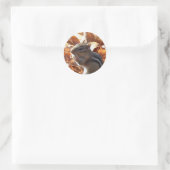 Schattige Chipmunk met pinda Ronde Sticker (Tas)