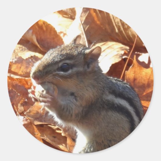 Schattige Chipmunk met pinda Ronde Sticker (Voorkant)
