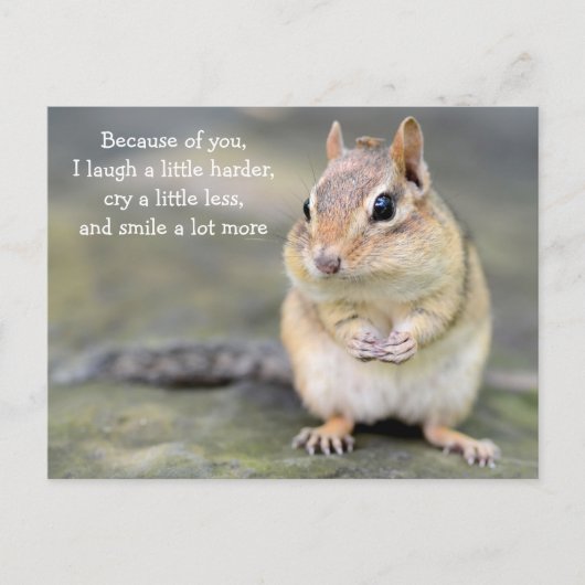 Schattige Chipmunk met vriendschapsCitaat Briefkaart (Voorkant)
