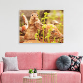 Schattige Chipmunk op beeldje verpakt canvas (Insitu (Woonkamer))