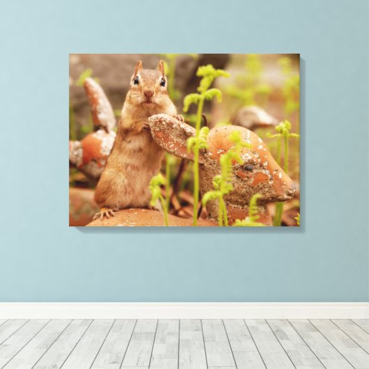 Schattige Chipmunk op beeldje verpakt canvas Afdruk (Insitu (Houten vloer))