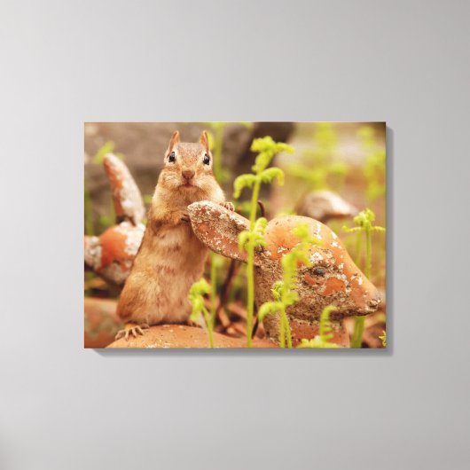 Schattige Chipmunk op beeldje verpakt canvas Afdruk (Voorkant)