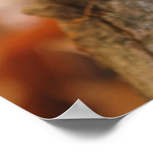 Schattige chipmunk poster (Hoek)