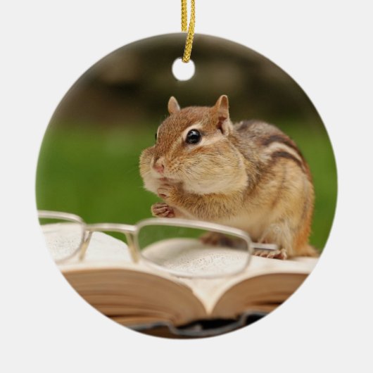 Schattige chipmunkaflezing keramisch ornament (Voorkant)