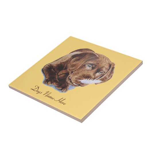 schattige chocolade-bruine labrador-terugtrekhondj tegeltje (Zijkant)