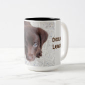 Schattige chocolade labrador Retriever puppy puppy Tweekleurige Koffiemok (Voorkant rechts)