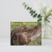 Schattige Chocolade Labradordog - Gefeliciteerd Briefkaart (Staand voorkant)