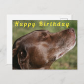 Schattige Chocolade Labradors hond - Gefeliciteerd Briefkaart (Voorkant / Achterkant)