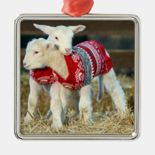 *SCHATTIGE CHRISTMAS GOATS IN ZWEEKERS* METALEN ORNAMENT