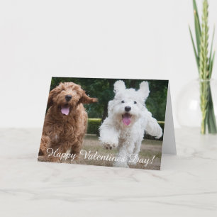 Schattige Cockapoo-Puppies   Valentijnsdag Kaart