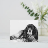 Schattige Cocker Spaniel Briefkaart (Staand voorkant)