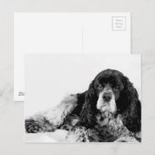 Schattige Cocker Spaniel Briefkaart (Voorkant / Achterkant)