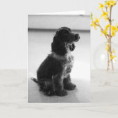 Schattige Cocker Spaniel Groeten Kaart (Gele Bloem)