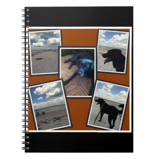 schattige collage van foto's van strand en hond notitieboek (Voorkant)