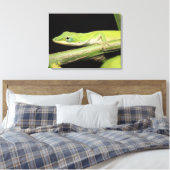Schattige Cool Schattig Leuk Groen Anole Lizard An Canvas Afdruk (Insitu (Slaapkamer))