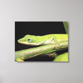 Schattige Cool Schattig Leuk Groen Anole Lizard An Canvas Afdruk