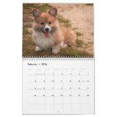 Schattige Corgi Dogs 2026 Kalender (Feb 2026)