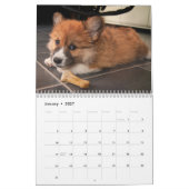 Schattige Corgi Dogs 2026 Kalender (Jan 2027)