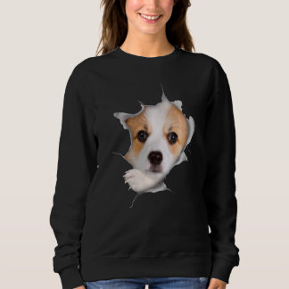 Schattige Corgi gezicht in Pembroke Welsh Corgi Do Trui