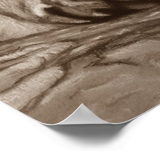 schattige cougar kitten grote schilderkunst poster (Hoek)