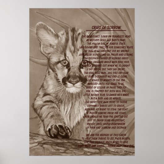 schattige cougar kitten grote schilderkunst poster (Voorkant)