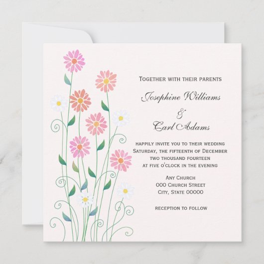 Schattige Country Hand getekend Roze en Witte Dais Kaart (Voorkant)