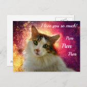 Schattige Cute Calico Cat Briefkaart (Voorkant / Achterkant)