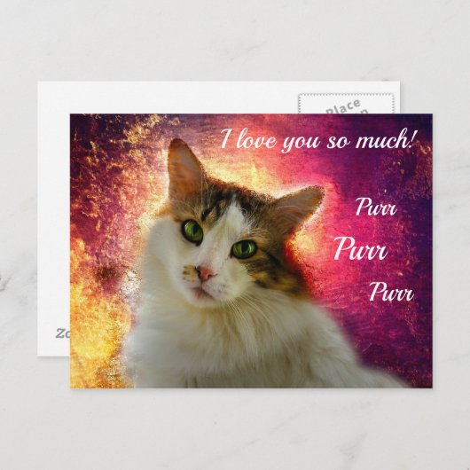 Schattige Cute Calico Cat Briefkaart (Voorkant / Achterkant)