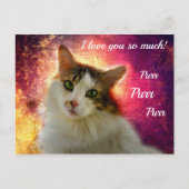 Schattige Cute Calico Cat Briefkaart (Voorkant)