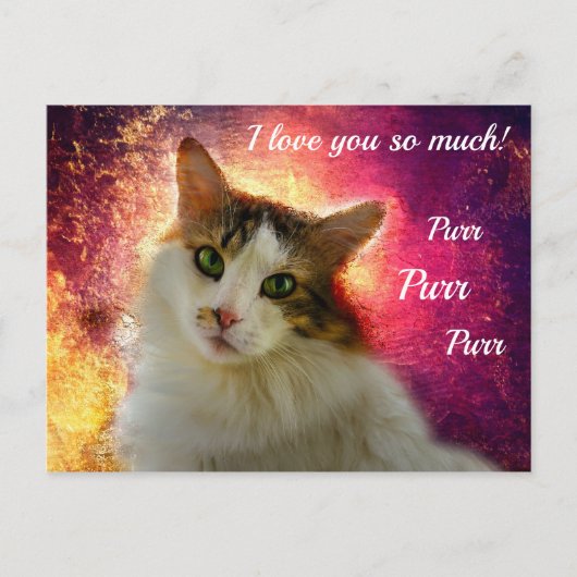 Schattige Cute Calico Cat Briefkaart (Voorkant)