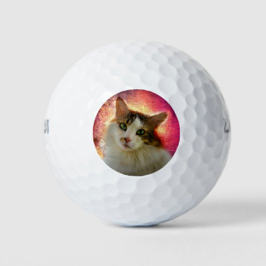 Schattige Cute Calico Cat Golfballen (Voorkant)