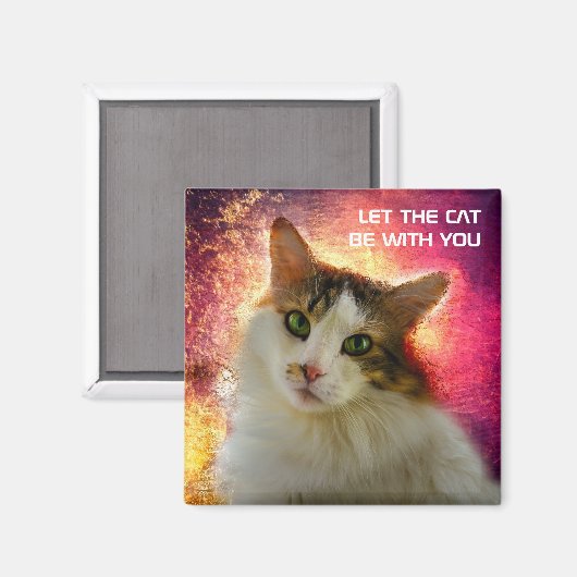 Schattige Cute Calico Cat Magneet (Voorkant / Achterkant)