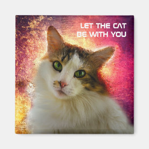 Schattige Cute Calico Cat Magneet