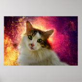 Schattige Cute Calico Cat Poster (Voorkant)