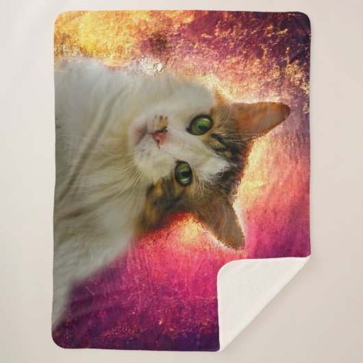Schattige Cute Calico Cat Sherpa Deken (Voorkant)
