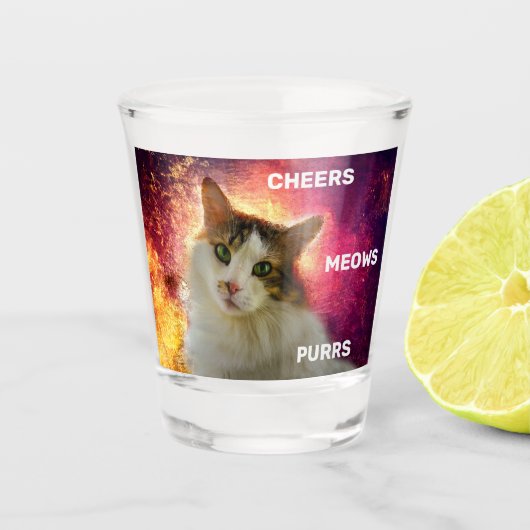 Schattige Cute Calico Cat Shot Glas (Voorkant)