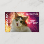 Schattige Cute Calico Cat Visitekaartje (Voorkant)