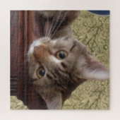 Schattige Cute Kitten Legpuzzel (Horizontaal)