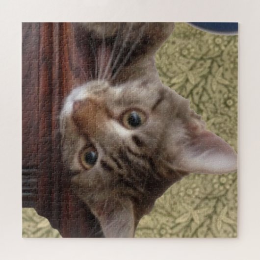 Schattige Cute Kitten Legpuzzel (Horizontaal)