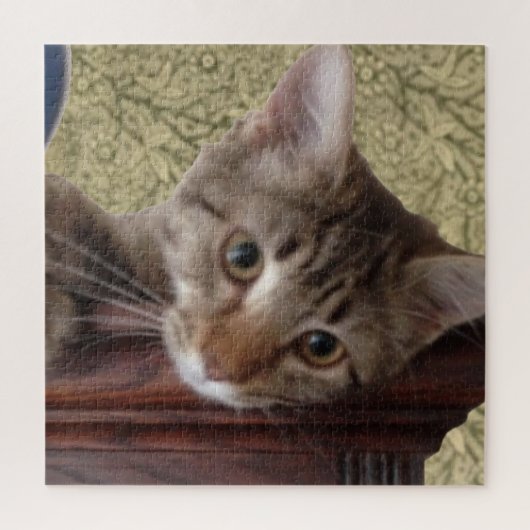 Schattige Cute Kitten Legpuzzel (Verticaal)