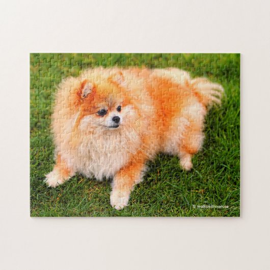 Schattige Cute Pomeranian Puppy Dog Legpuzzel (Horizontaal)