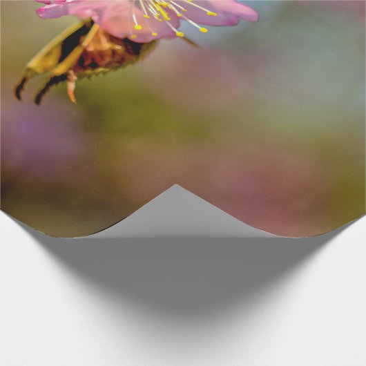 Schattige Cute Sakura-bloemen in de avond Cadeaupapier (Hoek)