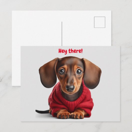 Schattige Dachshond Puppy Briefkaart (Voorkant / Achterkant)
