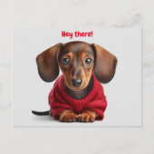 Schattige Dachshond Puppy Briefkaart (Voorkant)